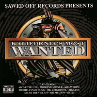 Do Whatcha Gotta Do (feat. Brotha Lynch Hung) - Brotha Lynch Hung & Mista Skrilla