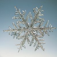Новый герой - Для вечеринок