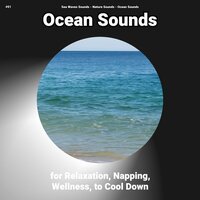 Ocean Sounds for Relaxation Pt. 61 - Nature Sounds & Ocean Sounds & Sea Waves Sounds