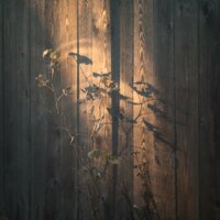 Before the Dawn - Valotihkuu