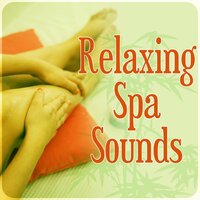 Zen Meditation - Spa Music Zone