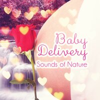 Relaxing Music - Nature Music Pregnancy Academy
