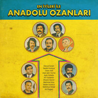 Kuşlar Sevdiğime Selam Söyleyin - Aşık Gülabi
