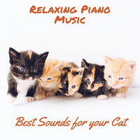 Sleepy Kittens - Relaxing Piano Music