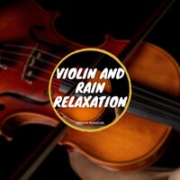 Petals - Circle of Relaxation