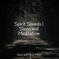 Outside In Nature - Especialistas de Musica para Dormir & Tinnitus & Avslappning Sound