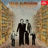 V chladném údolí - Felix Slováček