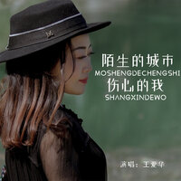 陌生的城市伤心的我 - 王爱华