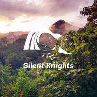 Deep Brown Noise Through the Trees - Silent Knights & Dylan Barnes & Rob Davy & Mark Dowling