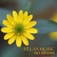 New Life - No Stress Ensemble
