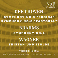 Symphony No.4 in E Minor, Op. 98, IJB 138: II. Andante moderato - Berliner Philharmoniker & Victor De Sabata & Иоганнес Брамс