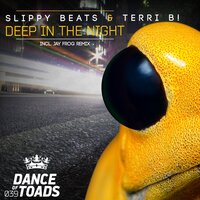 Deep in the Night - Slippy Beats