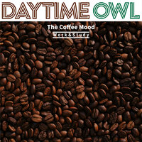 Night Sky Love Songs - Daytime Owl