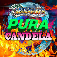 Perdon Amor - Los Abelardos