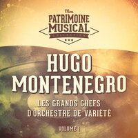 El Rico Vacilon - Hugo Montenegro