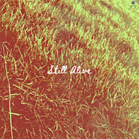 Still Alive - Vudu & T & Mexdoze & Bn0h47