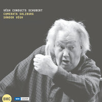 Symphony No. in D Major, D. 82: II. Andante - Camerata Salzburg & Vegh Quartet & Франц Шуберт