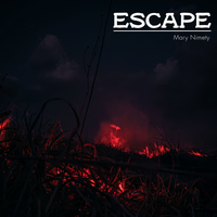 Memories - Mary Nimety