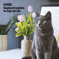 Playful Relaxation for Pets - Music For Cats & Pet Care Club & Dog Music
