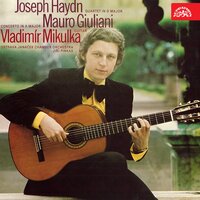 Guitar Concerto No. 1, Op. 30: II. Andantino siciliano - Vladimir Mikulka & Jiří Pinkas & Ostrava Janáček Chamber Orchestra & Мауро Джулиани