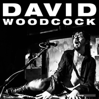 Open Secret - David Woodcock