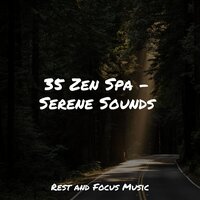 Calming Massages - Deep Sleep Systems & Baby Sweet Dream & Música para Massagem Especialistas