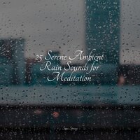 Thunder, Rains - Spa Music Collective & Nature Sounds Artists & Spa Relaxation