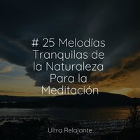 Toque Mágico - Musica para Meditar Especialistas & Massagem & Música Para Dormir Inspirada En El Espacio