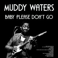 Forty Days and Forty Nights - Muddy Waters