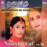 Puchiya Kadi Ni Mera Haal - Naseebo Lal