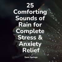 Endless Rains - Monarch Baby Lullaby Institute & Rain Drops for Sleep & Raindrops Sleep
