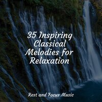 Sunny Dreams - Bath Spa Relaxing Music Zone & Yoga Workout Music & White Noise Baby Sleep