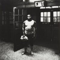 Rip The Flesh - Bosco