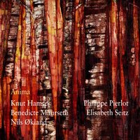 Rameslått I - Benedicte Maurseth & Knut Hamre & Nils Økland & Elisabeth Seitz & Philippe Pierlot