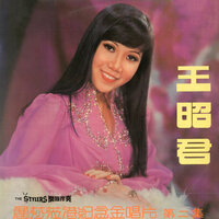 彩雲追月 - 麗莎 & The Stylers