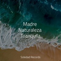 Latido De La Naturaleza - Música para Relaxar Maestro & Canciones De Cuna Para Dormir Bebes & Música para Relajarse Profundamente