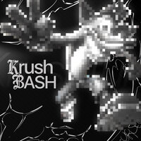 KRUSHBASH - sped up - FAKEREALITY