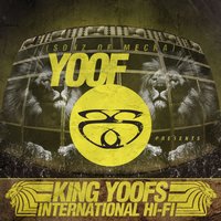 I'm on Fire - King Yoof & The Dirty Rich