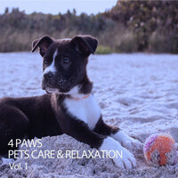 Dream Moods - Spa Music For Dogs & Music For Dogs With Anxiety & Dog Sleep Academy