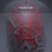 Retrocognition - Sandro Galli