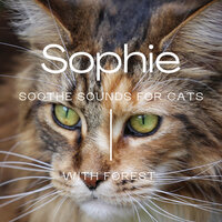 Sophie - Forest