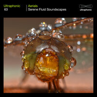 Cranial Blizzard - Ultraphonic