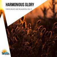 Hard Decisions - Liquid Ambiance