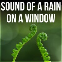 Restful Sounds - Healing Rain Sounds