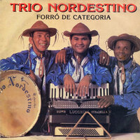Raimunda - Trio Nordestino
