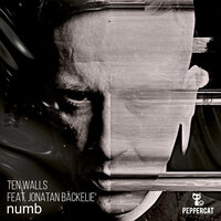 Mokujin - Ten Walls