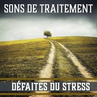 Harmonie de l'âme - Oasis Relaxante pour Dormir