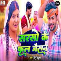 Sarso Ke Phul Jaisan - Ritu Chauhan