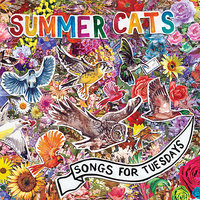 Camel Cords - Summer Cats