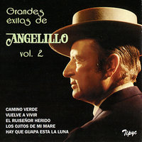 Farolero - Angelillo